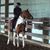 Wendy Spencer's profile image