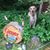 Vali Williams Glover's profile image