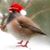 Cindy Fisher's profile image
