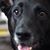 Tina Hottenstein Knight's profile image