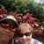 Pamela James Shellner's profile image