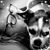 Tracy Dahlinger's profile image