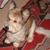 Matthew J. Mosca's profile image