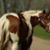 Gina Lea's profile image
