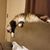 Melissa Thompson Mikkelsen's profile image