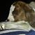 Lori Ann Ola's profile image