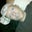 Jason Carr's profile image