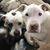 Erin Linklater's profile image