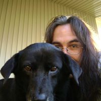Michael Fischer's profile image
