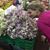Rhonda Johnson Bebout's profile image