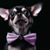 Eva Reyna's profile image