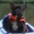Kelley Dean's profile image