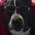 Ray Pearson's profile image