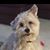 Cindy Gould Sutton's profile image