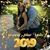 David Rodriguez's profile image