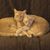 Jean Braly Kimak's profile image