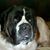 Jean Mcadams's profile image