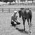 Morgan Heinrichs's profile image