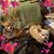 Tonya Hunt's profile image