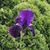 Kathy DeLuca Czarniawski's profile image