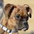 Barb Taylor's profile image
