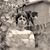 Cynthia Tebbetts's profile image