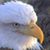 Annette Duckering's profile image