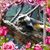 Judy Kennedy's profile image