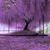 Amy Berg's profile image