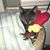 Deanne Clayton's profile image