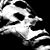Dan Martin's profile image