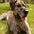 Mickie Bulkley's profile image