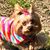 Patti Kirschner SanFilippo's profile image