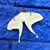 Stephanie Whetstone's profile image