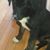 Lisa Santoro Ballard's profile image