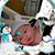 Stacey Ruggles Willey's profile image