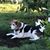 Betty Piscopiello Riley's profile image