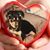Vickie Jay's profile image