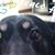 Philip Andrew Hill's profile image