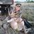 Leathea Penick's profile image