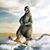 Richard Wise's profile image