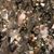 Susan Campbell Tucker's profile image