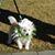 Carolyn Plemons's profile image
