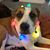 Jeanie Osip's profile image