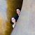Mark Masanque's profile image