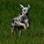 Jennifer Gerzanics's profile image