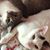 Stephanie Barnes's profile image