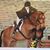 Sheri Moser's profile image