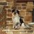 Missy Gable's profile image
