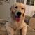 Doreen Rioux's profile image